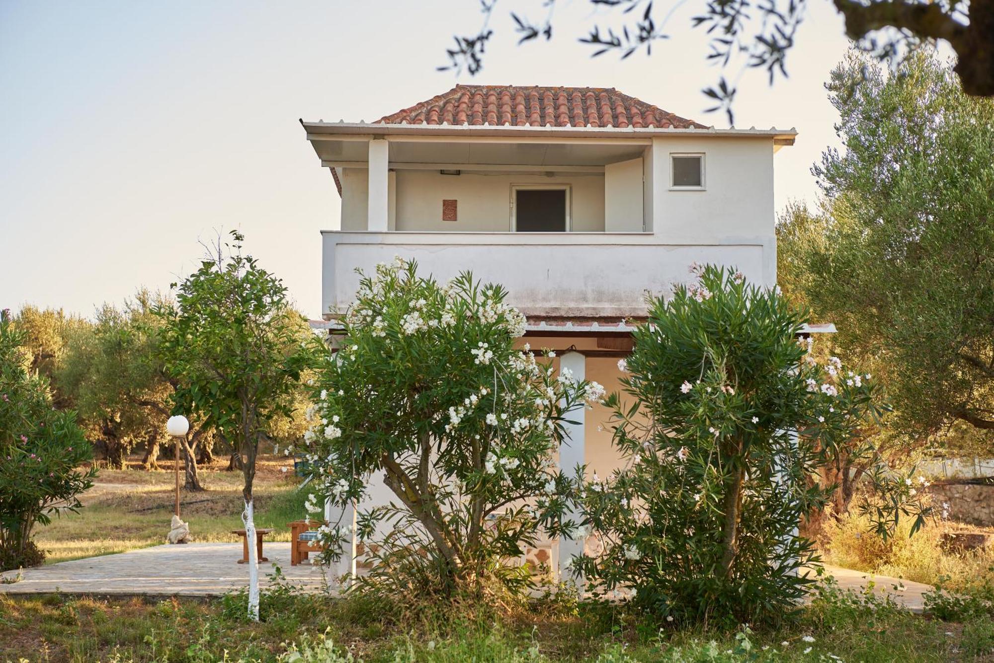 Villa Rania / Zante Drosia Kypseli ภายนอก รูปภาพ