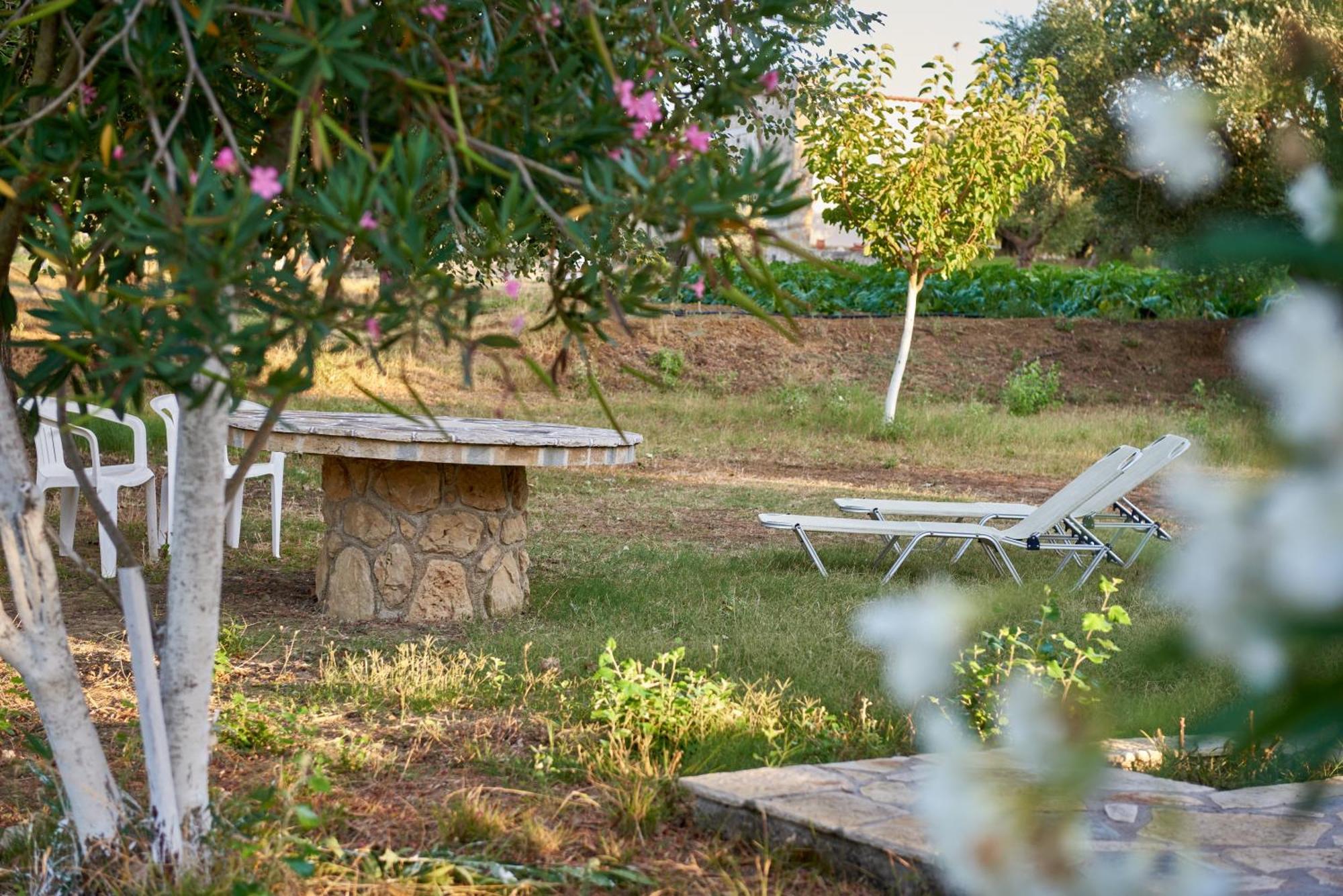 Villa Rania / Zante Drosia Kypseli ภายนอก รูปภาพ