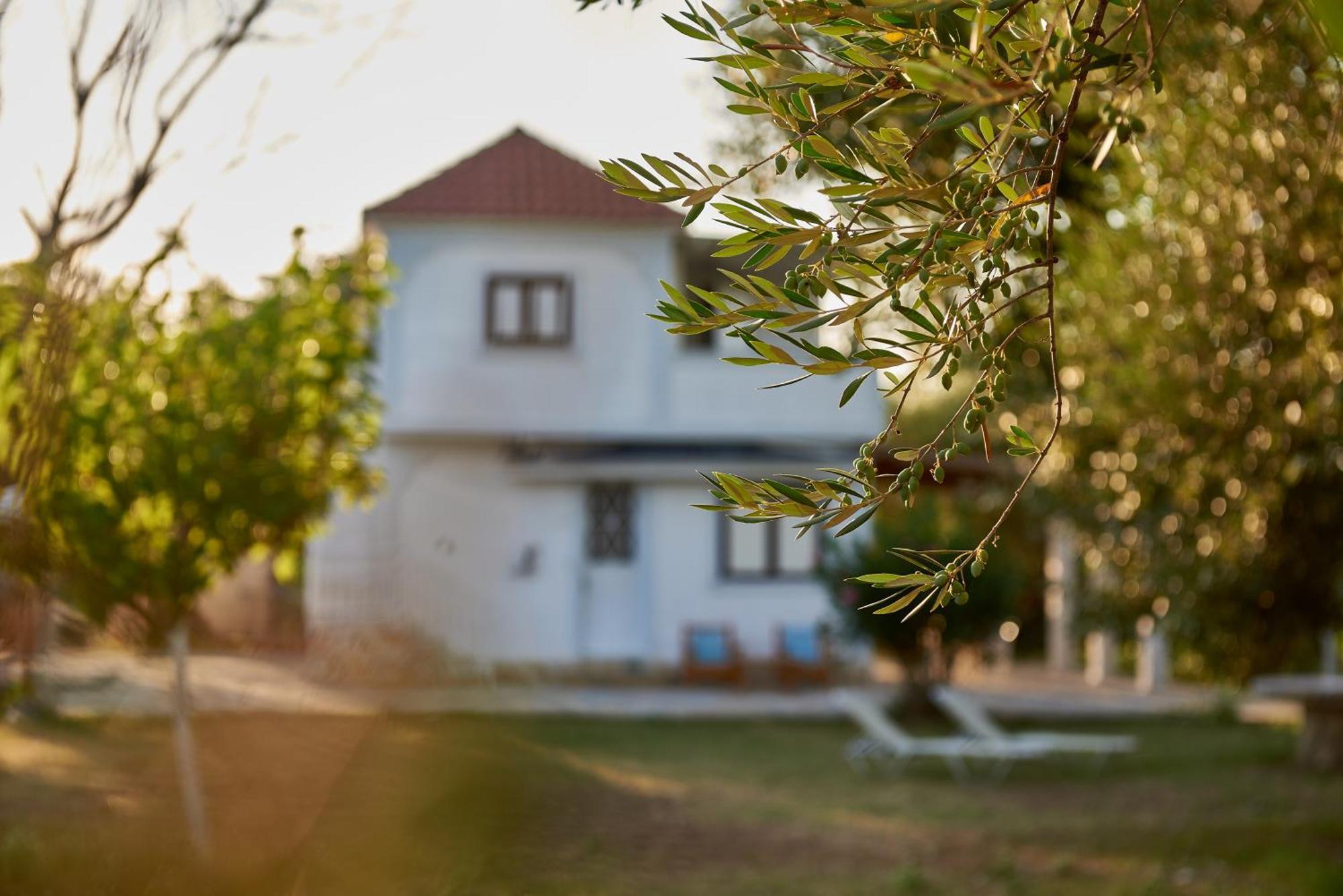 Villa Rania / Zante Drosia Kypseli ภายนอก รูปภาพ