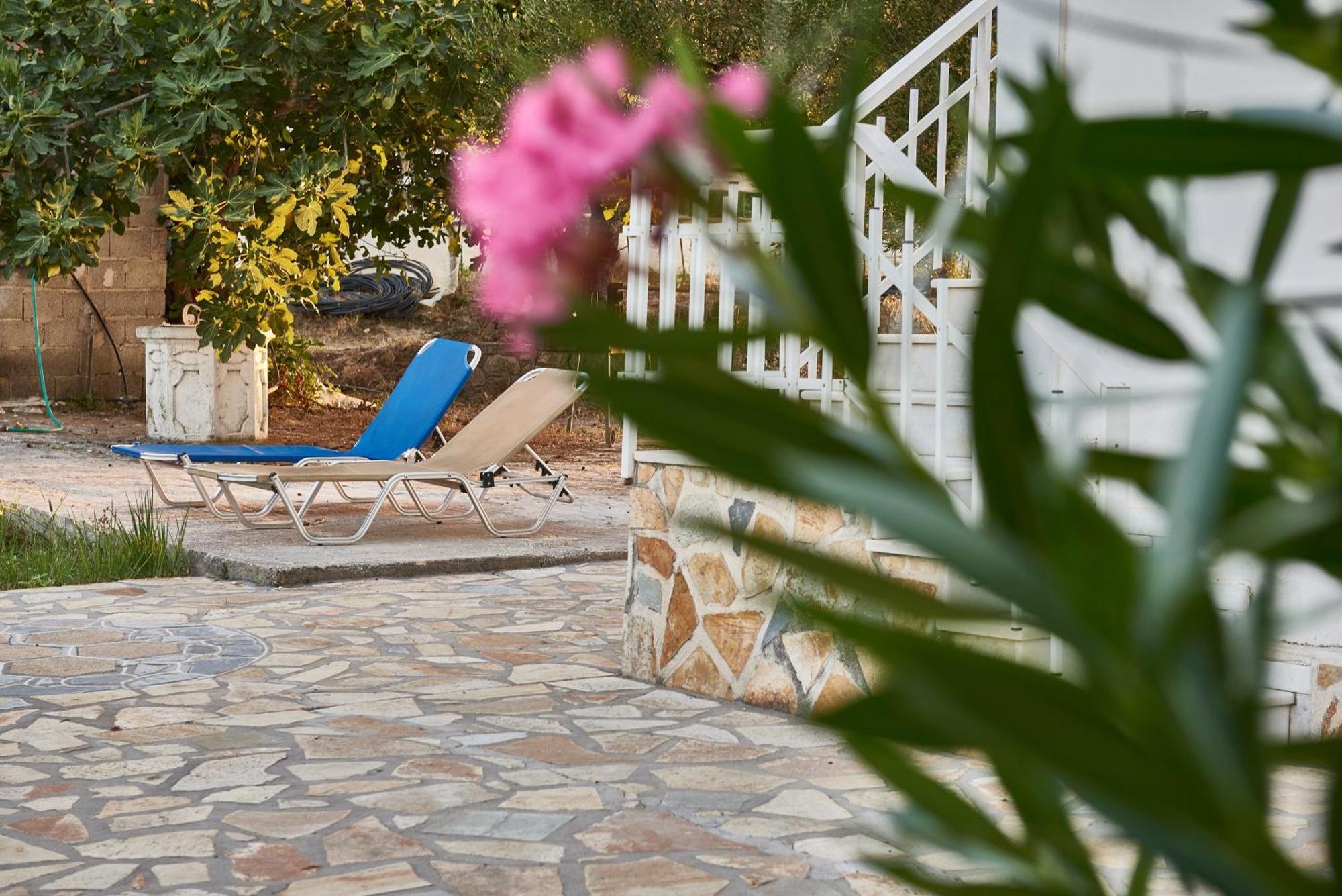 Villa Rania / Zante Drosia Kypseli ภายนอก รูปภาพ